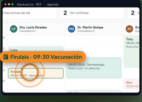 Pantalla de Vantastic VET